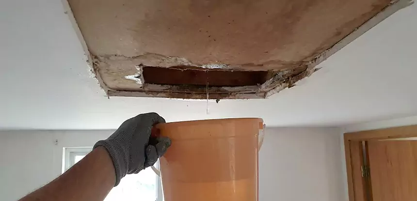 Ceiling Mold Repair Cedartown