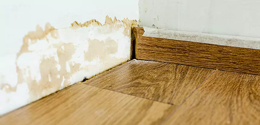 Professional Fix Water Damaged Wood Services in Cedartown, GA